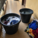 Two buckets and a pile of clothes set up for hand washing in a student hostel corridor